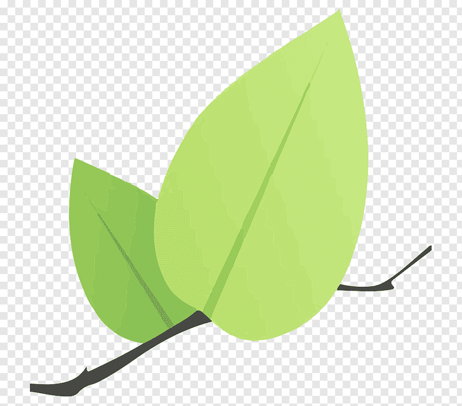 Leaflet JS